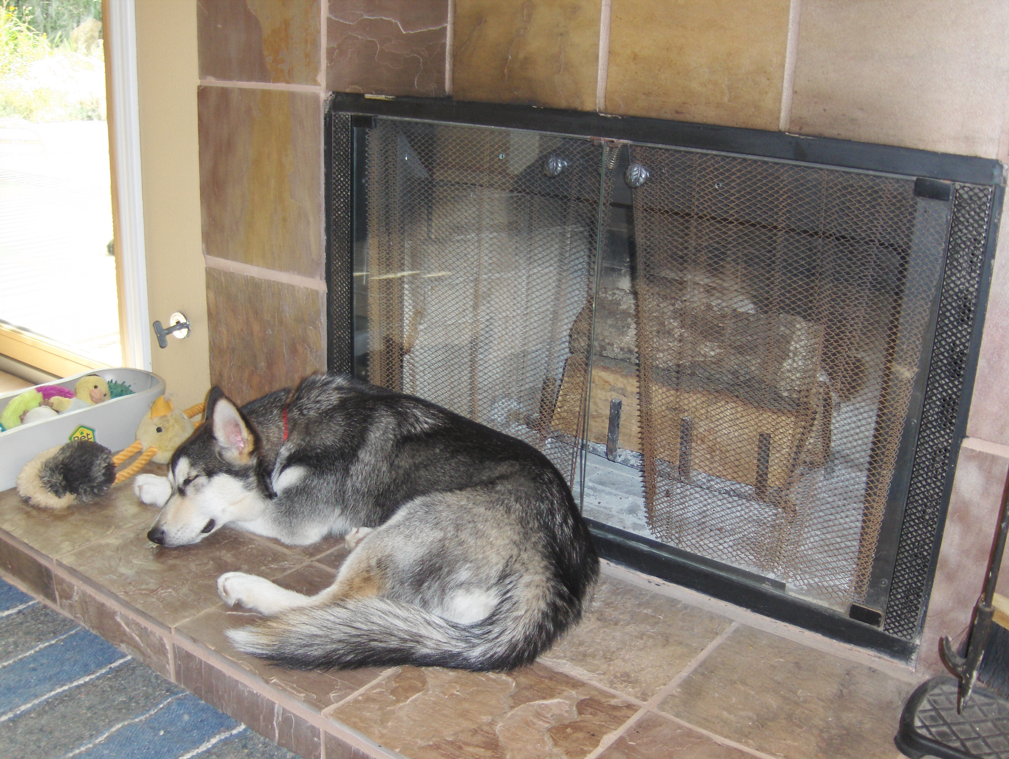 Sasha fireplace