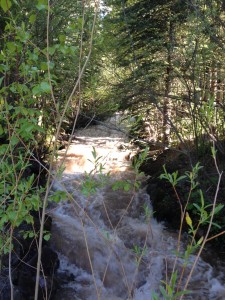 Vail Mountain Stream